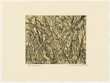 Artist: b'Senbergs, Jan.' | Title: b'Otway scrub' | Date: 1992 | Technique: b'etching, printed in black ink, from one plate; chine coll\xc3\xa9' | Copyright: b'\xc2\xa9 Jan Senbergs'