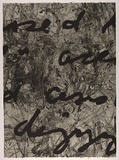 Artist: b'PARR, Mike' | Title: b'Language and chaos 8.' | Date: 1990 | Technique: b'drypoint, electric grinder and burnishing, printed in black ink, from one copper plate; over printed with lift ground aquatint, printed in black ink, from one steel plate'