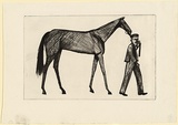 Artist: b'Brack, John.' | Title: b'Strapper and horse.' | Date: 1956 | Technique: b'drypoint, printed in black ink, from one copper plate' | Copyright: b'\xc2\xa9 Helen Brack'