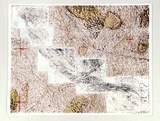 Artist: WICKS, Arthur | Title: Landscape trace | Date: 1982 | Technique: screenprint, printed in colour, from multiple stencils