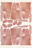 Title: b'Glove layout' | Date: 2005 | Technique: b'photo-lithograph, printed in colour, from one plate'