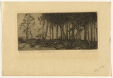 Artist: b'TRAILL, Jessie' | Title: b'Their time has come, in Northumberland' | Date: 1938 | Technique: b'etching and aquatint, printed in black ink with plate-tone, from one plate'