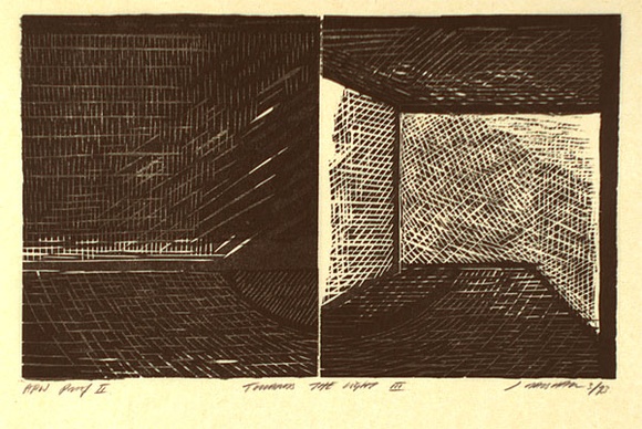 Artist: b'Marshall, Jennifer.' | Title: b'Towards the light III' | Date: 1993 | Technique: b'linocut and woodcut, printed in grey and black ink, from two blocks'