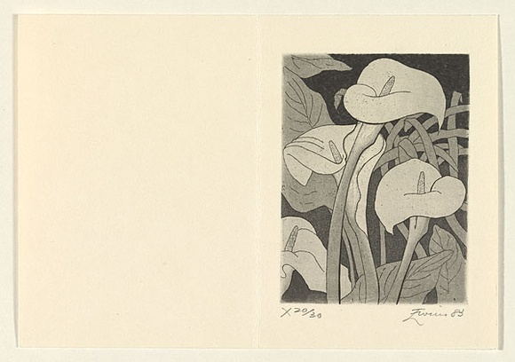Artist: b'EWINS, Rod' | Title: b'(Arum lilies).' | Date: 1983, December | Technique: b'line-engraving and aquatint, printed in black ink, from one plate'