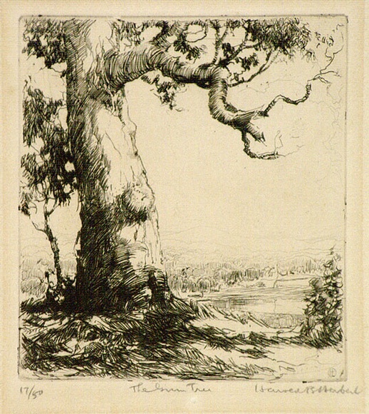 Artist: b'Herbert, Harold.' | Title: b'The old gum' | Date: c.1928 | Technique: b'etching, printed in black ink, from one plate'