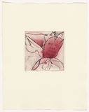 Artist: b'Headlam, Kristin.' | Title: b'Oh Rose IX' | Date: 1997 | Technique: b'aquatint and drypoint, printed in colour, from two copper plates'