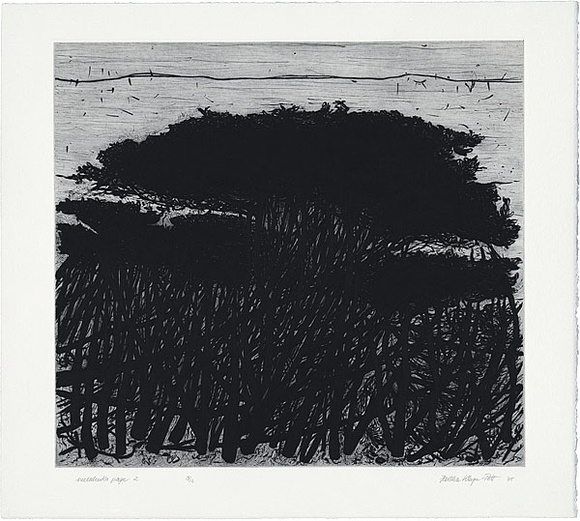 Artist: b'Kluge-Pott, Hertha.' | Title: b'Melaleuka page 2.' | Date: 2005 | Technique: b'etching and drypoint, printed in black ink with plate-tone, from one plate'
