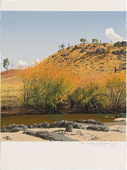 Artist: b'Rose, David.' | Title: b'Autumn at MacQuarie River' | Date: 1993 | Technique: b'screenprint, printed in colour, from multiple stencils'