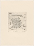 Title: Shell - still life | Date: 1983 | Technique: drypoint, printed in black ink, from one perspex plate