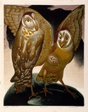 Artist: GRIFFIN, Murray | Title: Golden owls | Date: 1951 | Technique: linocut, printed in colour, from multiple blocks
