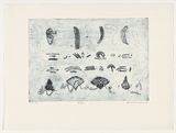 Artist: McMaster, Anne. | Title: Gingko | Date: 1989 | Technique: collagraph, printed in blue ink, from one plate