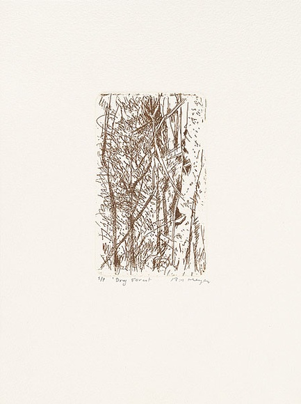 Artist: b'MEYER, Bill' | Title: b'Dry forest' | Date: 1992 | Technique: b'etching, printed in brown ink, from one zinc plate' | Copyright: b'\xc2\xa9 Bill Meyer'