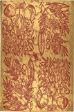 Artist: b'REDBACK GRAPHIX' | Title: b'Wrapping paper: Gold' | Date: 1986 | Technique: b'screenprint, printed in colour, from three stencils'