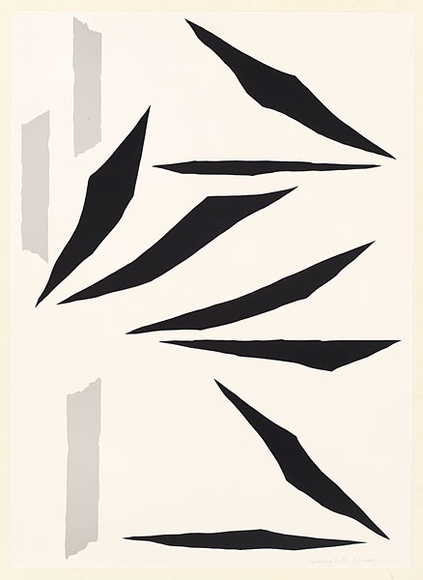 Artist: b'Dawson, Janet.' | Title: b'Heidelbird flutter.' | Date: 1981 | Technique: b'lithograph, printed in colour, from two plates' | Copyright: b'\xc2\xa9 Janet Dawson. Licensed by VISCOPY, Australia'