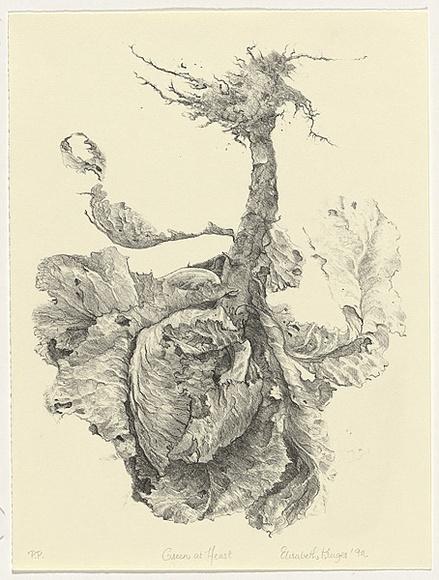 Artist: b'Kruger, Elisabeth.' | Title: b'Green at heart' | Date: 1992 | Technique: b'lithograph, printed in black ink, from one stone'