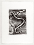 Artist: Weiss, Rosie. | Title: not titled. | Date: 1988 | Technique: lithograph, printed in black ink, from one stone [or plate]