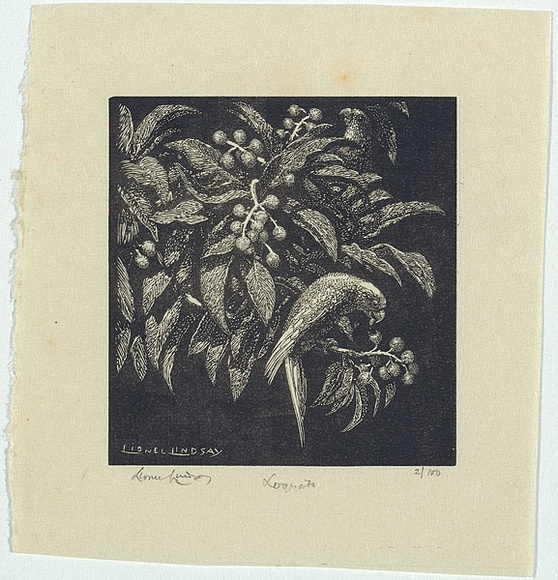 Artist: b'LINDSAY, Lionel' | Title: b'Loquats' | Date: 1923 | Technique: b'wood-engraving, printed in black ink, from one block' | Copyright: b'Courtesy of the National Library of Australia'