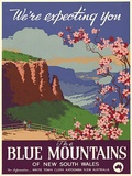 Artist: b'Booker.' | Title: bWe're expecting you: The Blue Mountains. | Date: c.1948 | Technique: b'screenprint, printed in colour, from 10 stencils'