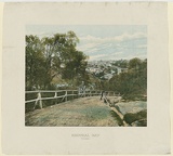 Artist: b'PHILLIP-STEPHAN PHOTO-LITHO. AND TYPOGRAPHIC PROCESS CO LTD' | Title: b'Neutral Bay, Sydney' | Date: 1888 | Technique: b'photo-lithograph, printed in colour, from multiple stones'
