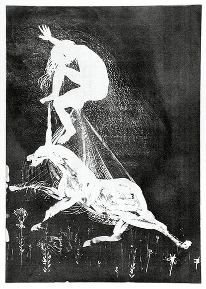 Artist: b'BOYD, Arthur' | Title: b'The lady betrays the unicorn.' | Date: 1973-74 | Technique: b'aquatint, printed in black ink, from one plate' | Copyright: b'Reproduced with permission of Bundanon Trust'