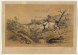 Title: Kangaroo Hunting No.2 - The chase | Date: 1858 | Technique: lithograph, printed in colour, from two stones (black image and text, buff tint stone)