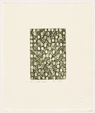 Artist: Taylor, Simon. | Title: Olive green | Date: 2007 | Technique: etching, open-bite and aquatint, printed in colour, from one plate