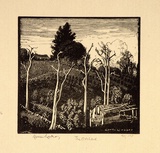 Artist: LINDSAY, Lionel | Title: The orchard | Date: 1925 | Technique: wood-engraving, printed in black ink, from one block | Copyright: Courtesy of the National Library of Australia