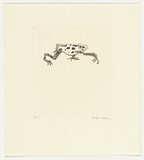 Artist: b'Law, Roger.' | Title: b'Not titled [frog].' | Date: 2004 | Technique: b'aquatint, printed in black ink, from one plate'