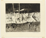 Artist: b'WILLIAMS, Fred' | Title: b'Yarra billabong, Kew. Number 1' | Date: 1975 | Technique: b'electric hand engraving tool, aquatint roulette, engraving, drypoint, biting, printed in black ink, from one copper plate' | Copyright: b'\xc2\xa9 Fred Williams Estate'