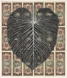 Artist: HALL, Fiona | Title: Philodendron mamei - Quilted silver leaf (Ecuadorian currency) | Date: 2000 - 2002 | Technique: gouache | Copyright: © Fiona Hall