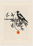 Artist: b'Rose, David.' | Title: b'Magpie and orange branch' | Date: 1978 | Technique: b'aquatint and watercolour'