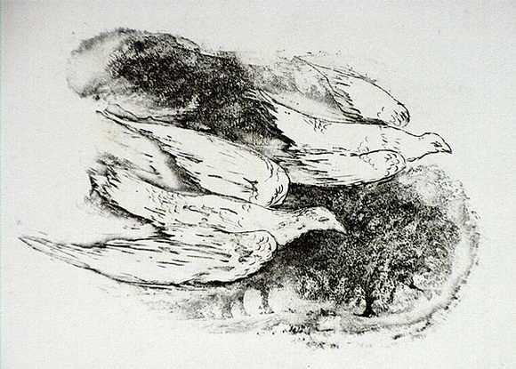 Artist: b'Strachan, David.' | Title: b'Birds' | Date: 1951 | Technique: b'etching, printed in black ink, from one plate'