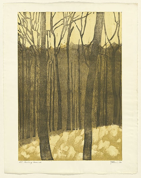 Artist: b'EWINS, Rod' | Title: b'Hunting Grounds.' | Date: 1970 | Technique: b'masonite cut, etched relef on galvanised steel, collage'