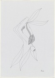 Artist: Burns, Peter. | Title: Caressing nature | Date: 1986 | Technique: photocopy, printed in black ink | Copyright: © Peter Burns