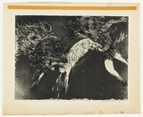 Artist: b'BOYD, Arthur' | Title: b'Wrestling figures (Elektra backdrop).' | Date: 1962-63 | Technique: b'etching, printed in black ink, from one plate' | Copyright: b'Reproduced with permission of Bundanon Trust'