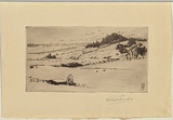 Artist: b'SHIRLOW, John' | Title: b'Pasture Lands' | Date: 1903 | Technique: b'etching, printed in warm black ink with plate-tone, from one copper plate'