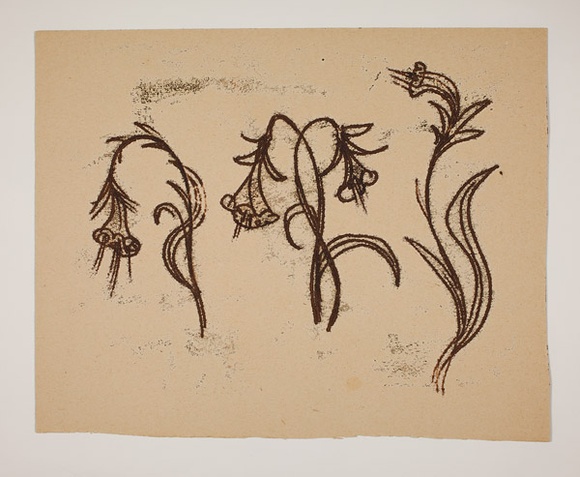 Artist: b'Hirschfeld Mack, Ludwig.' | Title: bnot titled [Three flowers] [recto]; [Study for 'Three flowers'] [verso] | Date: (1950-59?) | Technique: b'transfer print (recto)'