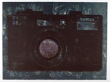 Artist: b'Florrimell, Michael.' | Title: b'not titled [camera with vegetation in lens]' | Date: 1992, May | Technique: b'lithograph, printed in colour, from two stones'