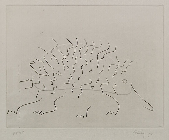 Artist: b'Risley, Tom.' | Title: b'not titled [echidna] [set of 3 etchings #2]' | Date: 1990 | Technique: b'etching, printed in black ink, from one plate; with embossing'