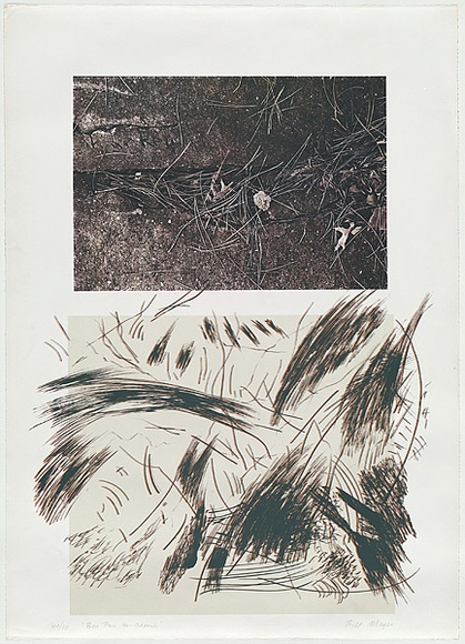 Artist: b'MEYER, Bill' | Title: b'Bore puri ha adamah' | Date: 1981 | Technique: b'screenprint, printed in colour, from seven stencils (indirect emulsion film, handcut stencils, charcoal on acetate and photo images)' | Copyright: b'\xc2\xa9 Bill Meyer'