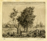 Artist: b'Farmer, John.' | Title: b'Blackwoods.' | Date: c.1948 | Technique: b'etching, printed in brown ink with plate-tone, from one plate'
