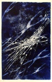 Artist: b'Gould, Strom.' | Title: b'Night cry' | Date: c.1960 | Technique: b'deep etch, printed in relief and intaglio in blue ink, from one plate'