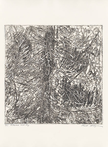Artist: b'MEYER, Bill' | Title: b'Bleached acid day' | Date: 1981 | Technique: b'open bite etching and aquatint, printed in black ink, from one plate; engraved details' | Copyright: b'\xc2\xa9 Bill Meyer'