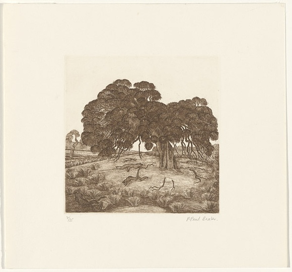 Artist: b'Baxter, Paul.' | Title: b'Tree.' | Date: 1988 | Technique: b'etching, printed in brown ink with plate-tone, from one plate'