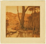 Artist: b'van RAALTE, Henri' | Title: b'Hillside and stream' | Date: c.1920 | Technique: b'aquatint, printed in brown ink, from one plate'