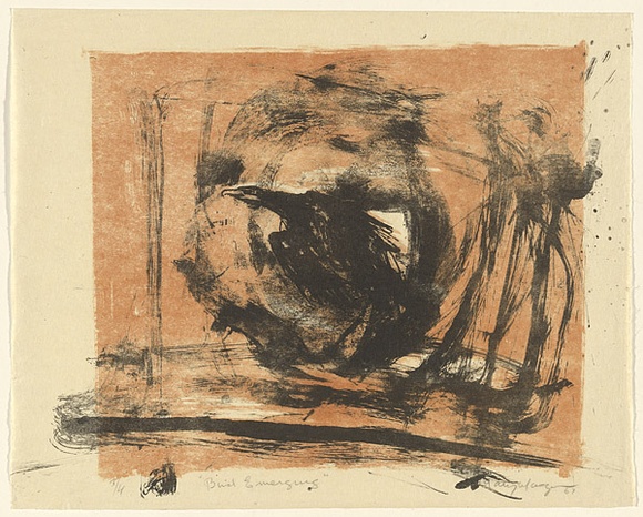 Artist: b'MACQUEEN, Mary' | Title: b'Bird emerging' | Date: 1967 | Technique: b'lithograph, printed in colour, from two plates in black and orange ink' | Copyright: b'Courtesy Paulette Calhoun, for the estate of Mary Macqueen'