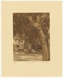 Artist: b'GRIFFITH, Pamela' | Title: b'Macquarie Obelisk' | Date: 1982 | Technique: b'hardground-etching and aquatint, printed in brown ink, from one zinc plate' | Copyright: b'\xc2\xa9 Pamela Griffith'