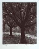 Artist: b'Atkins, Ros.' | Title: b'not titled [two trees]' | Date: 2001, February | Technique: b'linocut, printed in black ink, from one block'