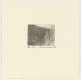 Artist: Robinson, William. | Title: Springbrook 3 | Date: 1999 | Technique: etching, printed in brown ink, from one plate
