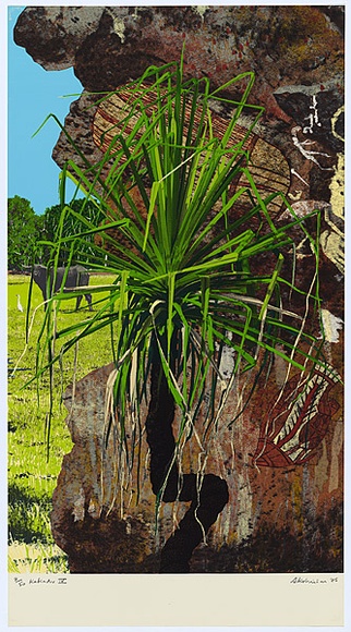 Title: b'Kakadu' | Date: 1985 | Technique: b'screenprint, printed in colour, from multiple stencils'